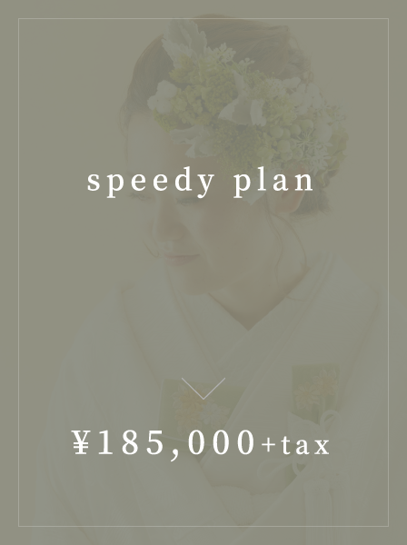 speedy plan ¥185,000+tax