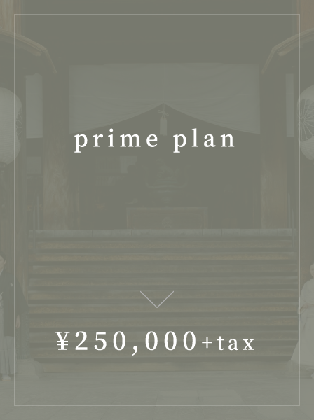 prime plan ¥250,000+tax